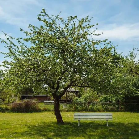 מלון דירות Apartmenthaus Kaiser Friedrich 3*