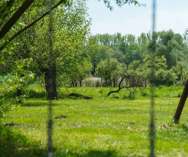 Apartmenthaus Kaiser Friedrich